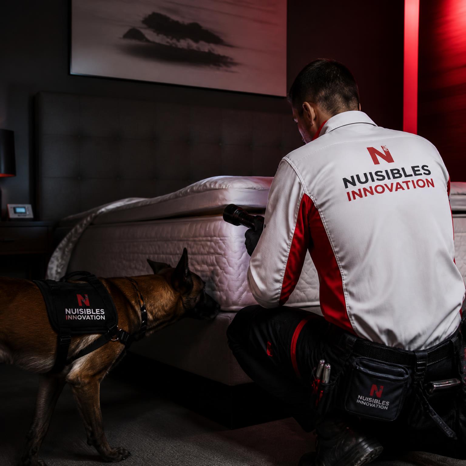 Technicien Nuisibles Innovation inspectant une chambre